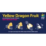 How to eat a dragonfruit