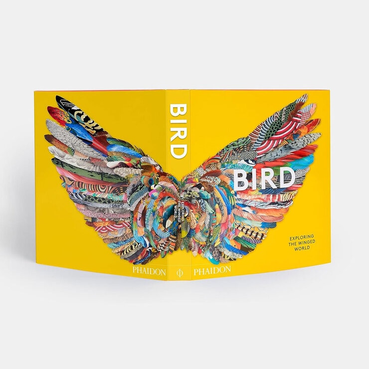 Bird 2 Bird 2
