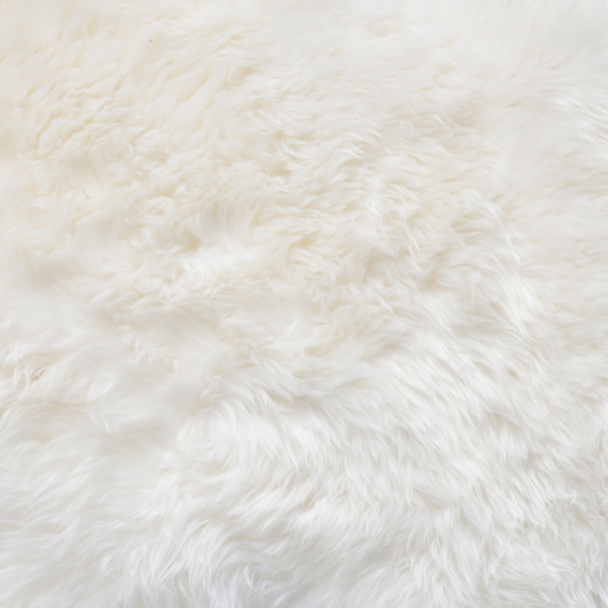 Bowron Long Wool Sheepskin Single Sided Cushion, 35 x 35cm in Ivory