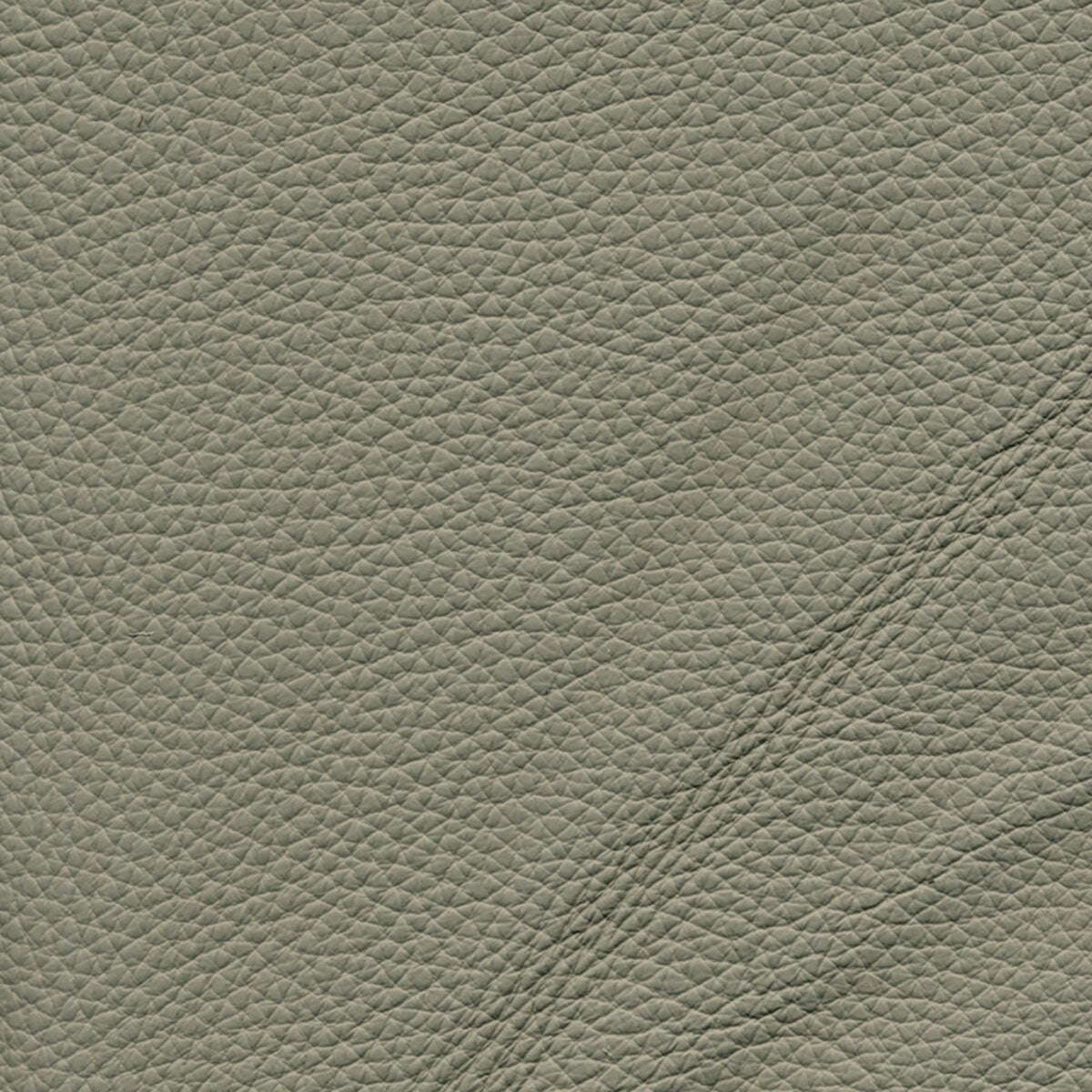 Nicoletti Grey Leather Sample Swatch Nicoletti Grey Leather Sample Swatch