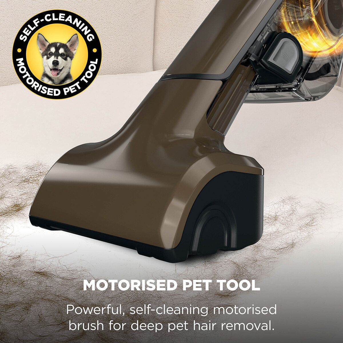 Lifestyle image of motorised pet tool Lifestyle image of motorised pet tool