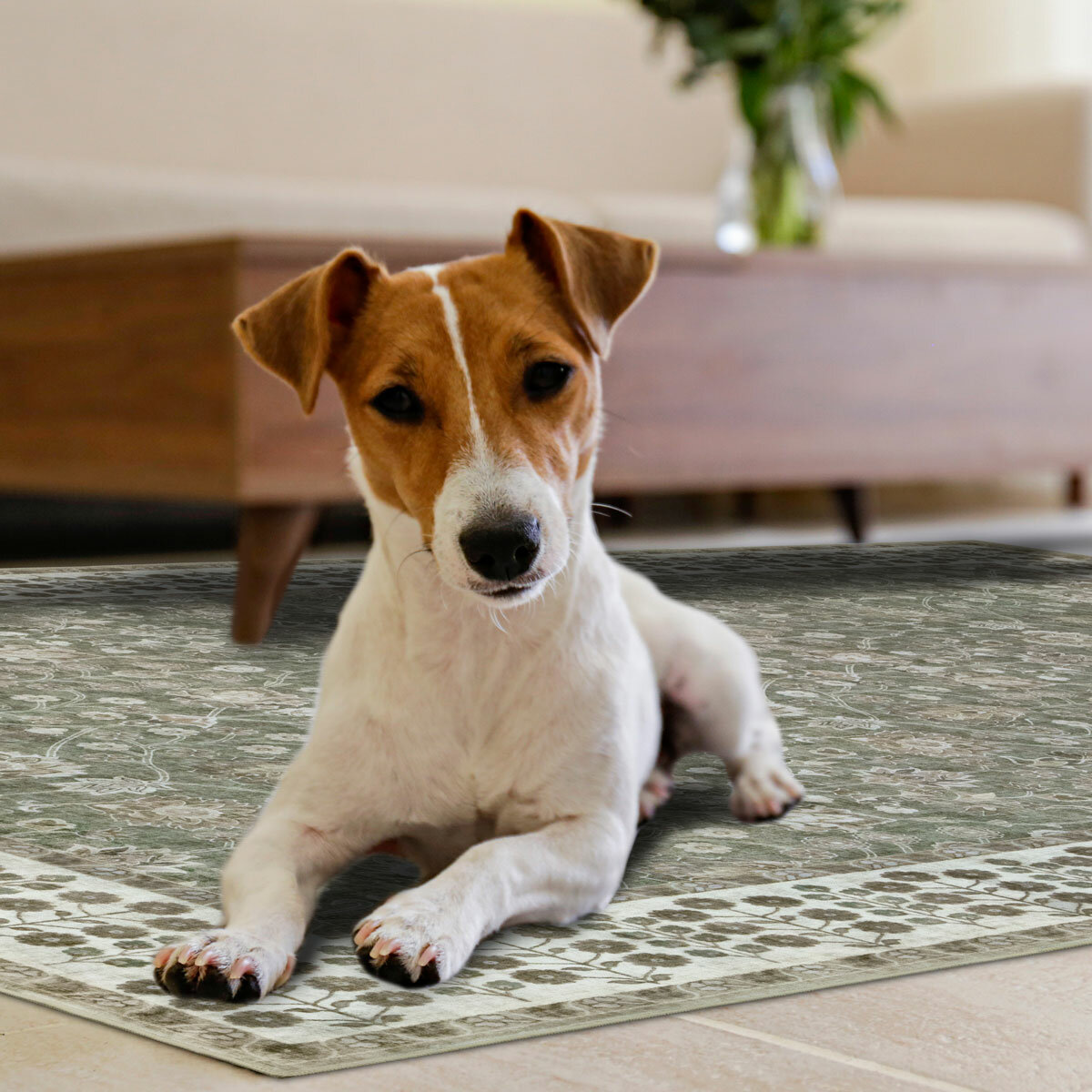 Wyatt & Ash Washable Area Rug in Green, 183 x 274cm