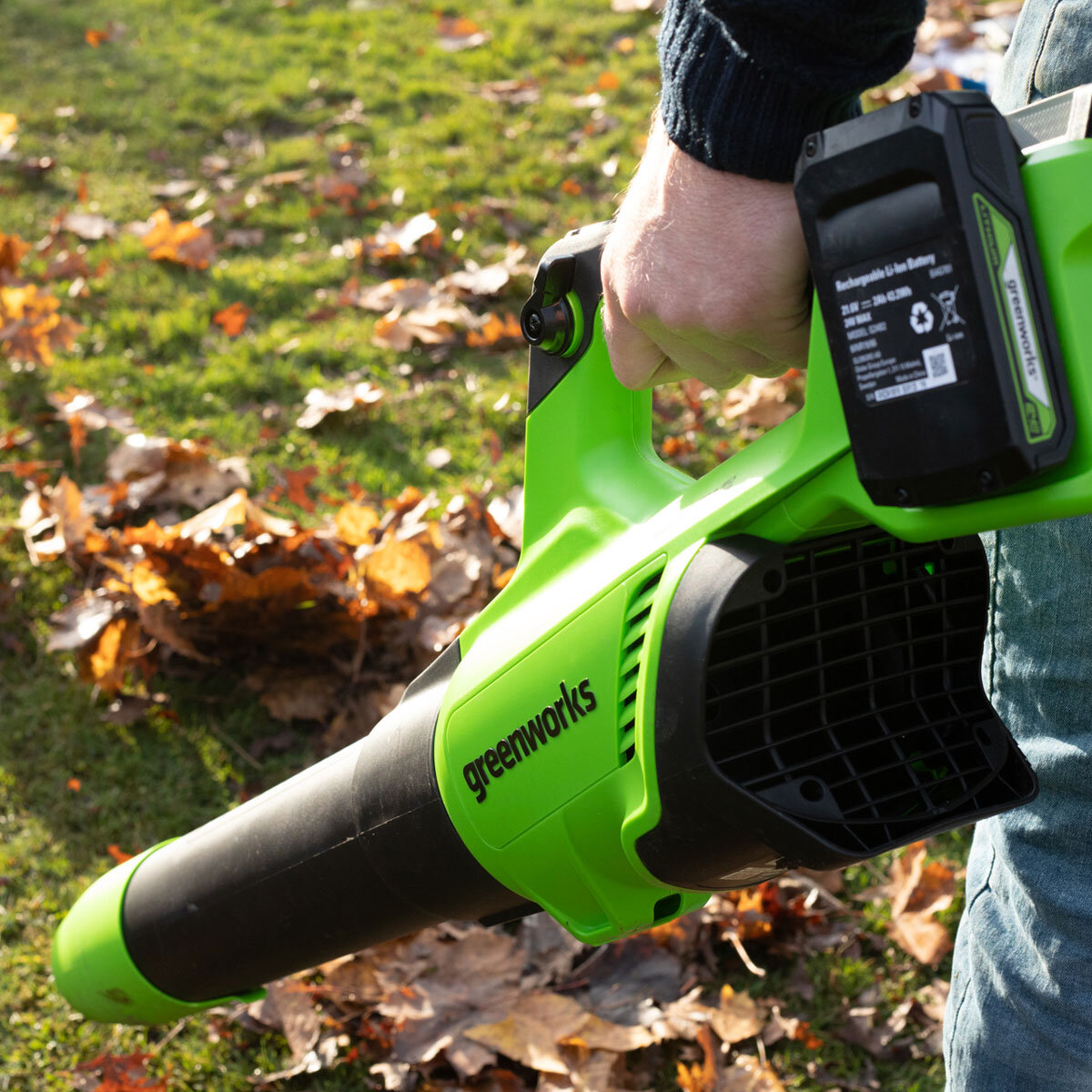 Greenworks 48V 217 km/h Cordless Brushless Leaf Blower + 2 x 24V (2Ah) Battery & Charger Bundle