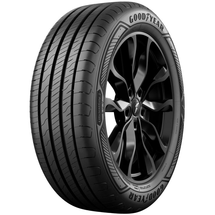 Goodyear 225/65 R17 102H EFFICIENTGRIP 2 SUV