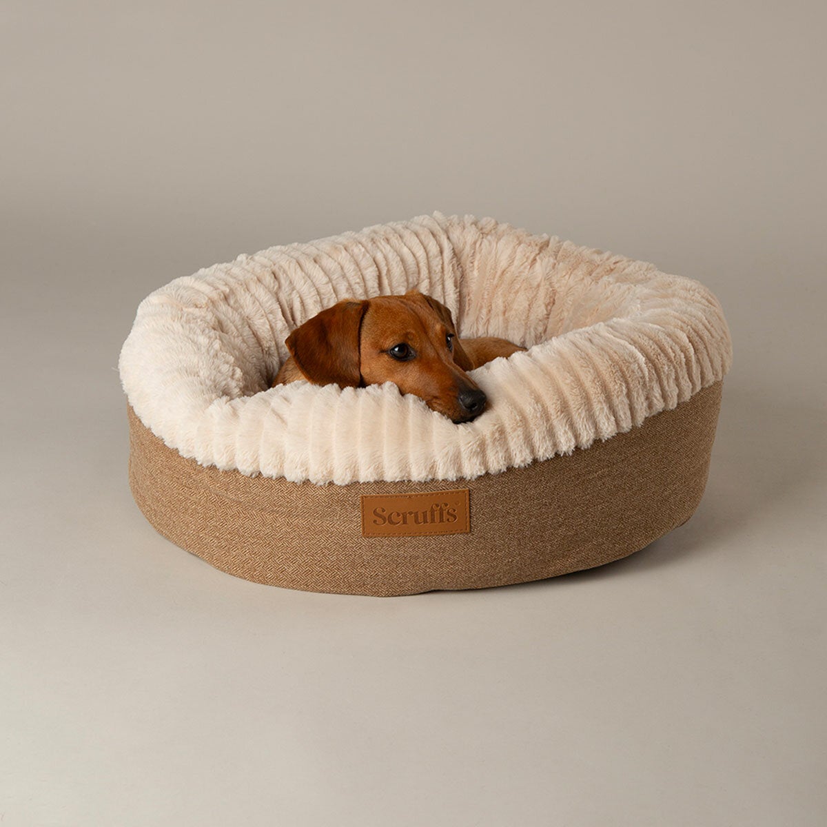 Scruffs® Ellen Donut Medium Bed in Tan, 55cm Scruffs® Ellen Donut Medium Bed in Tan, 55cm