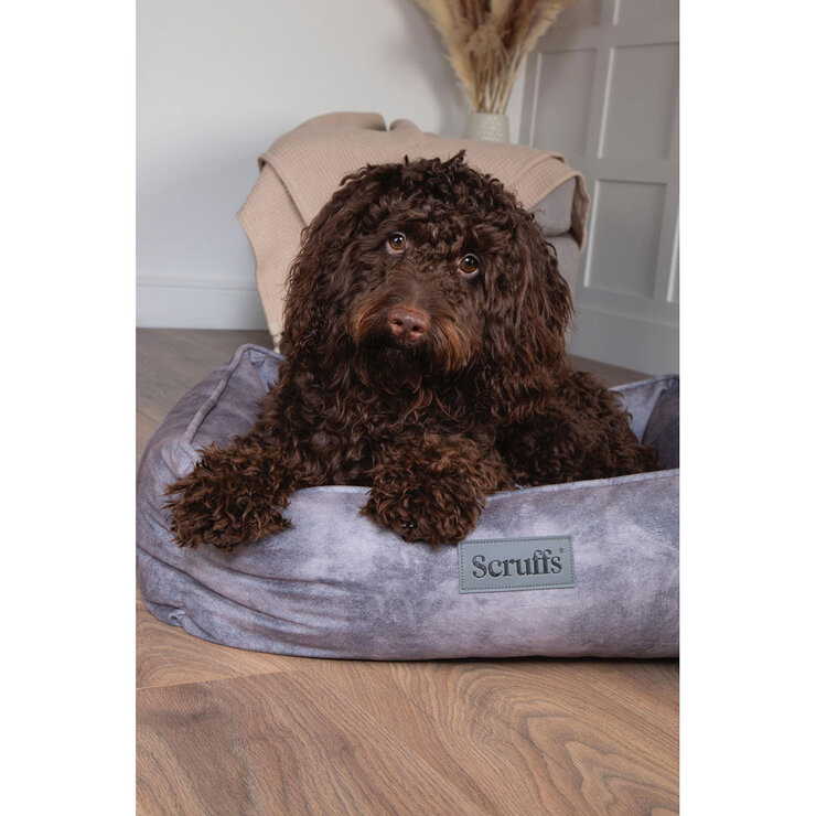 Brown Dog on Grey Pet Bed
