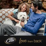Lifestyle image of people with mascot dog in outdoor setting