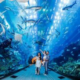 Go City Dubai Highlights Pass - Dubai Aquarium and Underwater Zoo