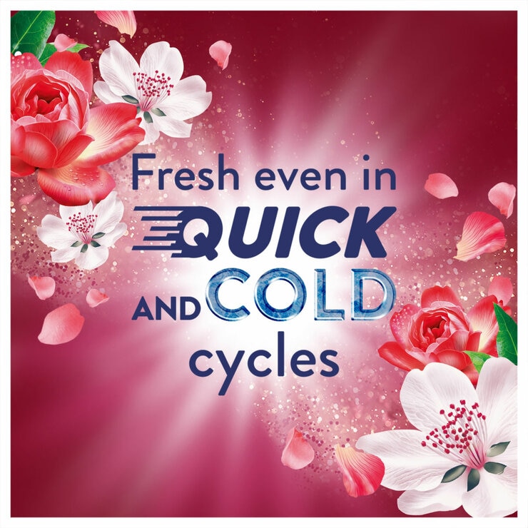 Fresh Even in Quick and Cold Cycles Fresh Even in Quick and Cold Cycles