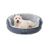 Dog in Bed