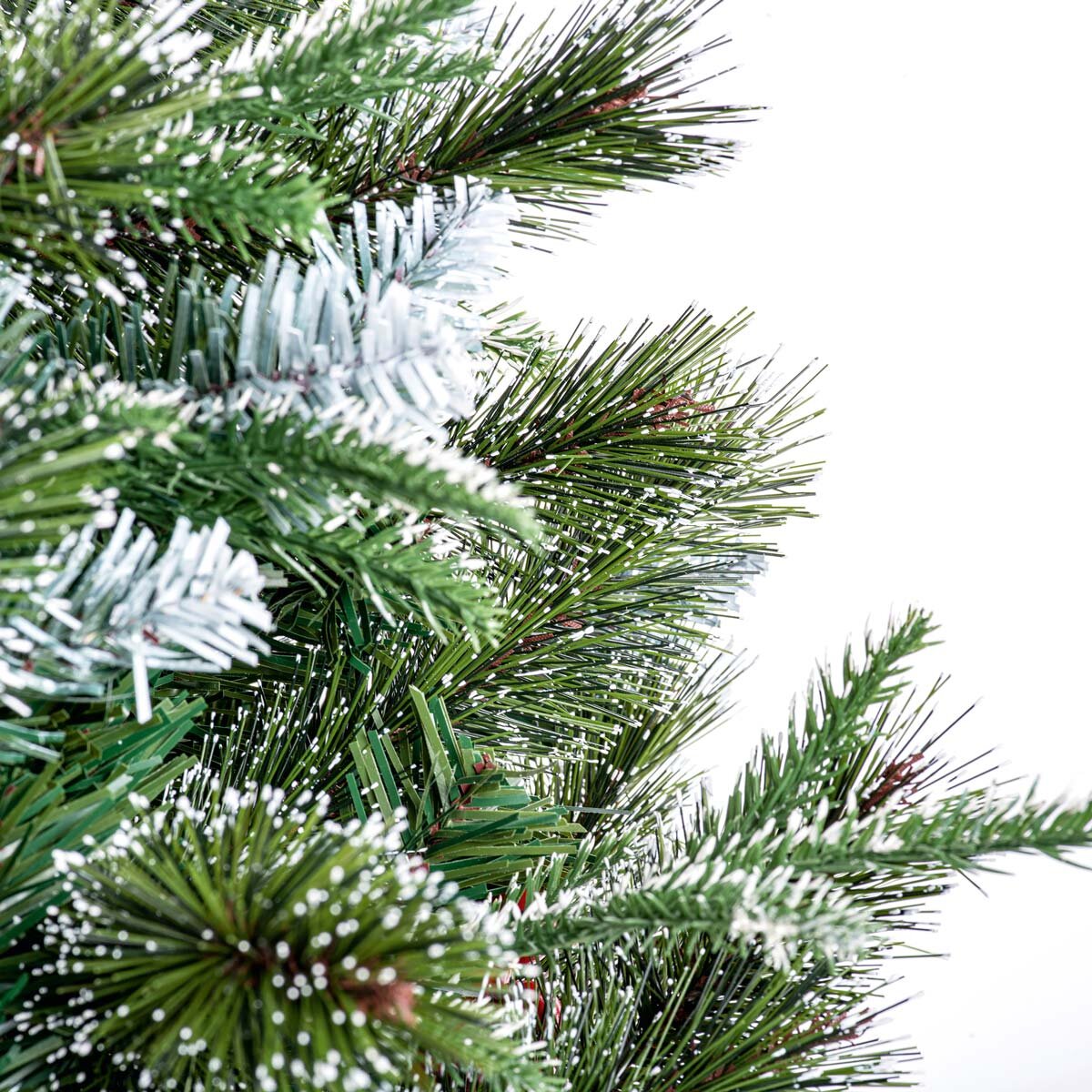 The Tree Company 2.4m New Jersey tree Arch