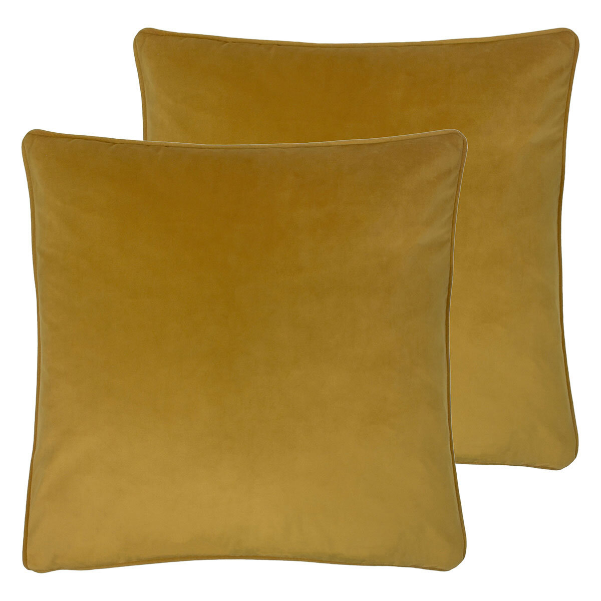 2 pack shot of cushions