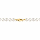 7-7.5mm Cultured Freshwater White Pearl Necklace, 14ct Yellow Gold 7-7.5mm Cultured Freshwater White Pearl Necklace, 14ct Yellow Gold