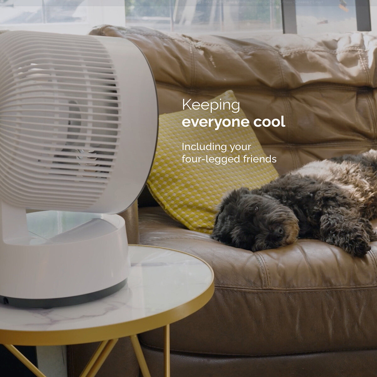 Lifestyle image of fan in the living room Lifestyle image of fan in the living room