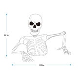 Giant Skeleton dimensions Image