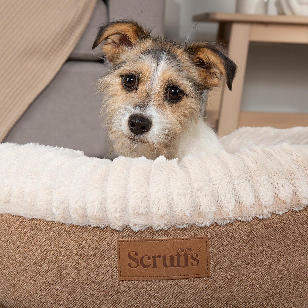 Scruffs® Ellen Donut Medium Bed in Tan, 55cm Scruffs® Ellen Donut Medium Bed in Tan, 55cm