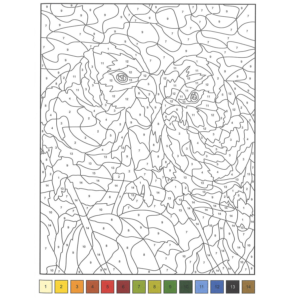 Colouring Book Assortment, Colouring by Numbers