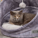 Cat Sitting in Cat Bed