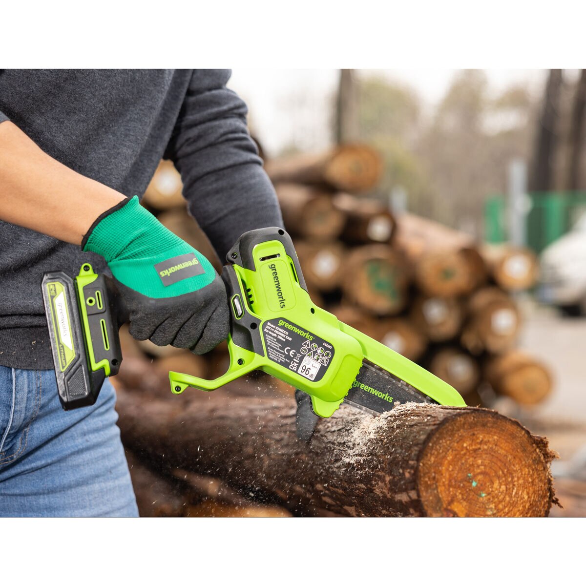 Greenworks 24V 20cm Cordless Pruner 1 x 24V 2Ah Battery