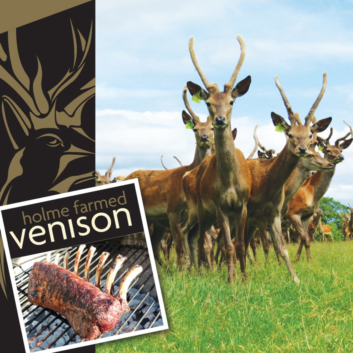 Holme Farmed Venison 8 Rib French Trimmed Rack of Venison, 800g (Serves 4 people)