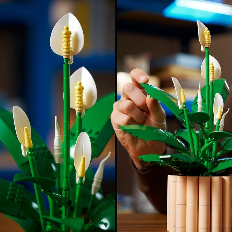 LEGO Botanicals Peace Lily - Model 11504 (18+ Years) LEGO Botanicals Peace Lily - Model 11504 (18+ Years)