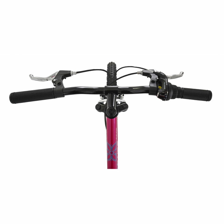 Dawes 20" Paris HT Kids Mountain Bike