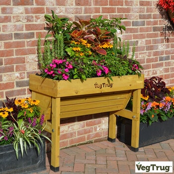 VegTrug Cedar Wood 1m Wall Hugger Planter