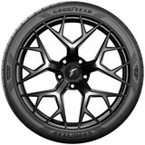 Goodyear 315/30ZR21 (105Y) EAG F1 SUPERSP RN