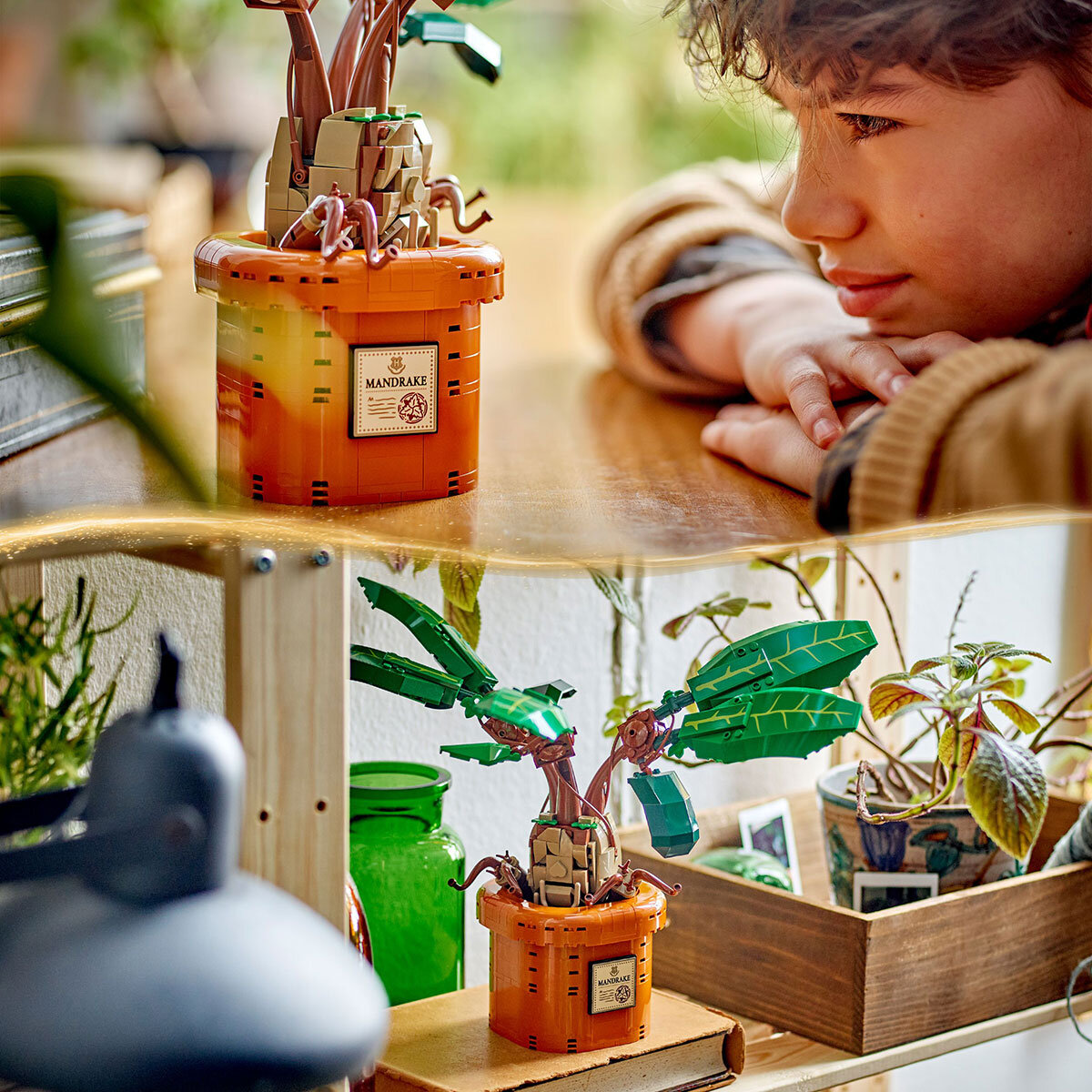Lego Harry Potter Mandrake Lifestyle Image