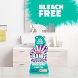 Bleach Free