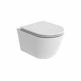 Tavistock Curve Wall Hung Toilet With Pan And Slim Seat Tavistock Curve Wall Hung Toilet With Pan And Slim Seat