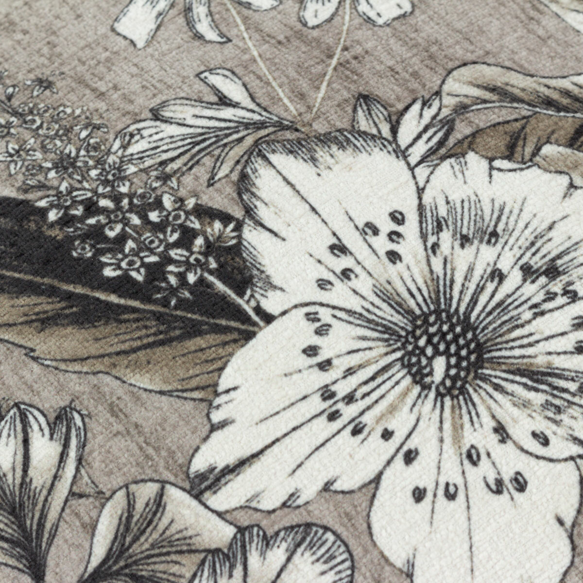 Wylder Harlington Feather Fill Cushion in 2 Colours, 50 x 50 cm