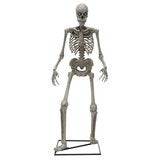 Halloween 6ft (11.8m) Animated Skeleton With LED Eyes