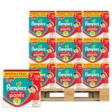 Pampers Baby Dry Pants Size 7, 126 Pack  x27