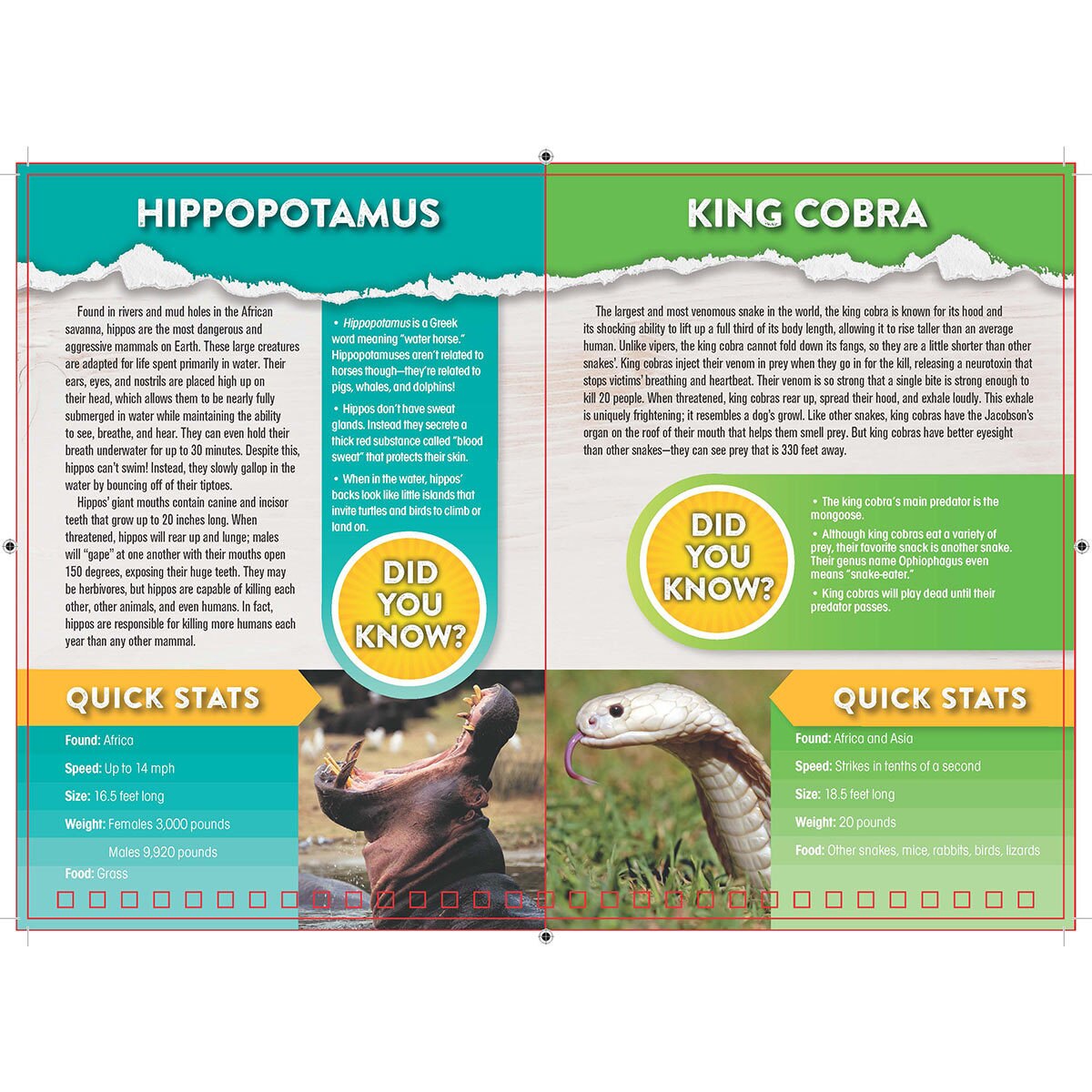 Discovery: Head-to-Head: Animals