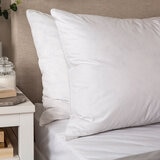 Clean & Healthy 2pk Pillow