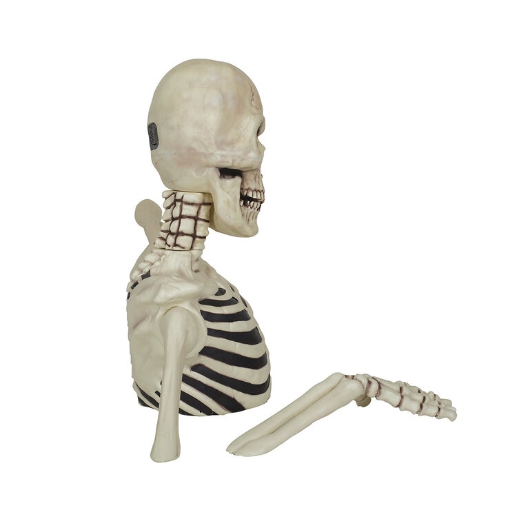 Giant Skeleton side view Image