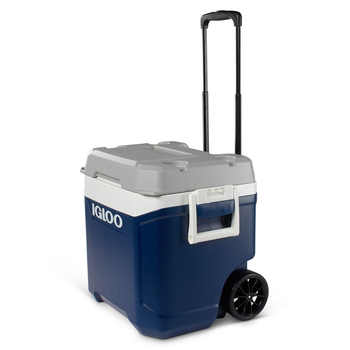Igloo Maxcold 58 Litre (62 US QT) Cool Box Costco UK