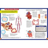 Wonders of Learning Activity Book in 2 Options: Stickers or Puzzles