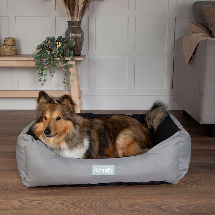 Scruffs Expedition Box Pet Bed, 24" x 19.5" (60cm x 50cm) in Grey Scruffs Expedition Box Pet Bed, 24" x 19.5" (60cm x 50cm) in Grey