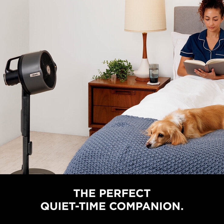 Shark FlexBreeze Mist Lifestyle Image