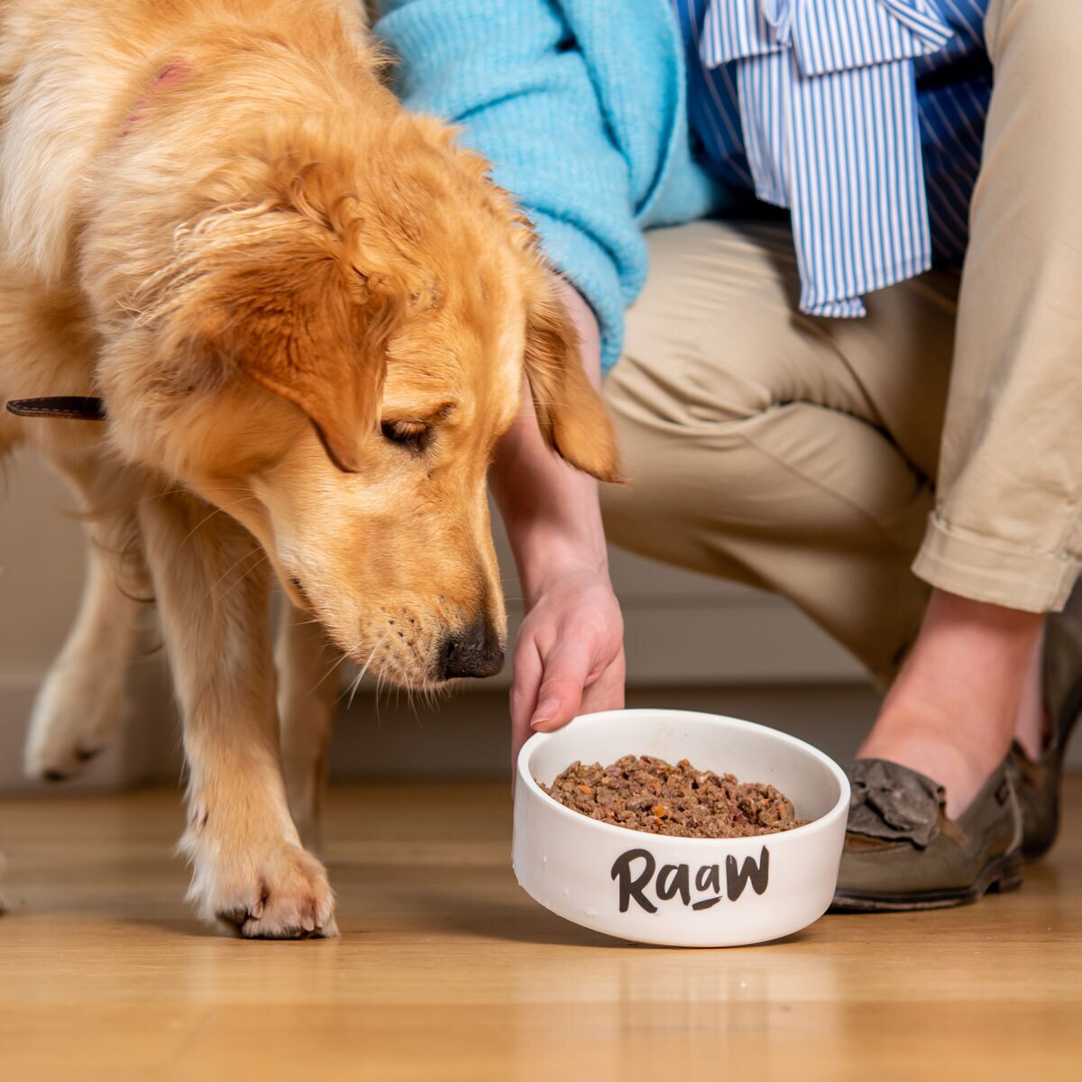 RaaW Natural Dog Complete Bundle 