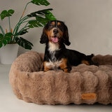 Scruffs Alpine Box Medium Pet Bed 60 x 50cm in Taupe