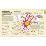 Page spread of How food works