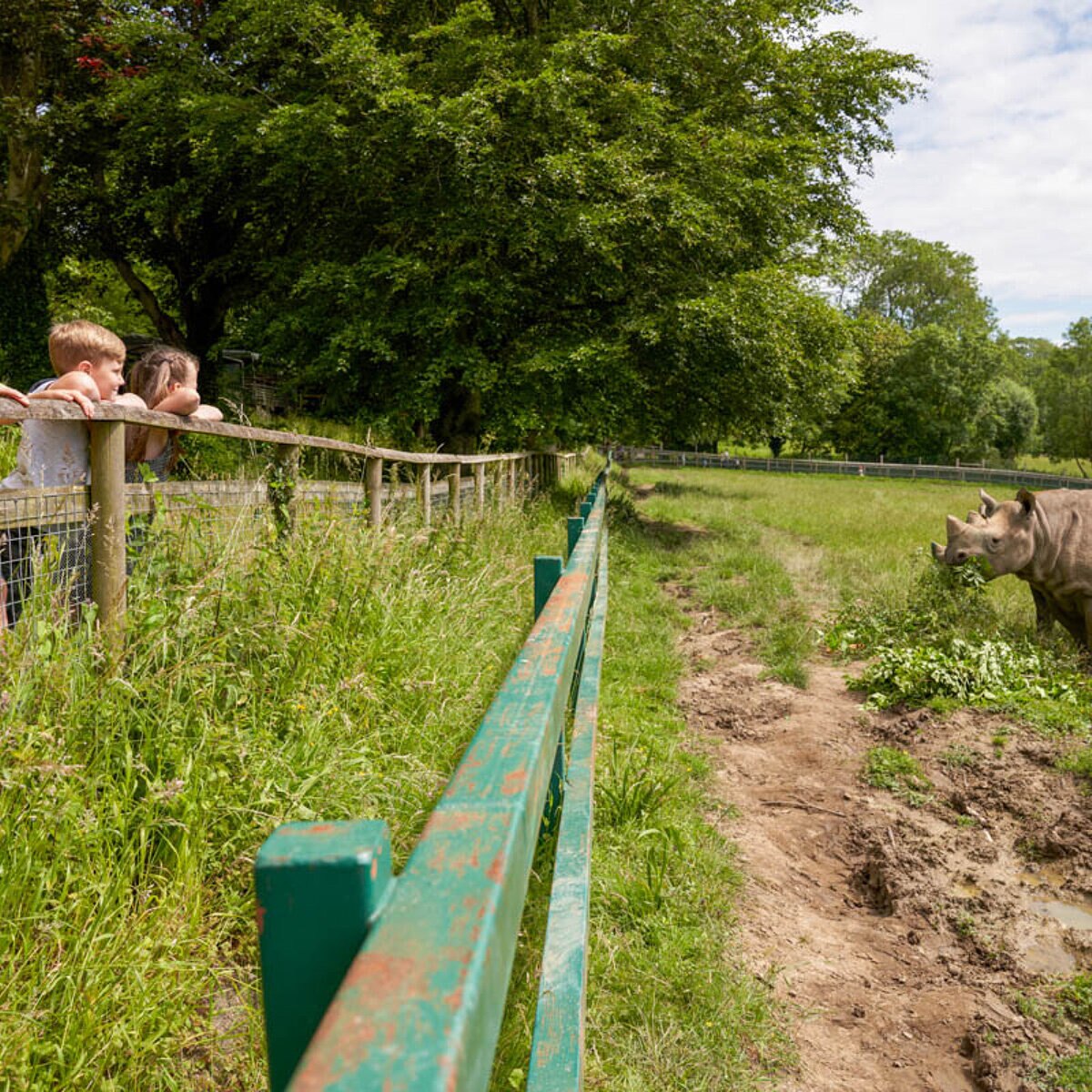Virgin Experience Days Port Lympne Safari One Night Glamping Stay for up to Four