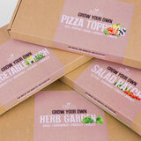 Seedcell Grow your Own Vegetable and Salad Patch, Herb Garden and Pizza Toppings