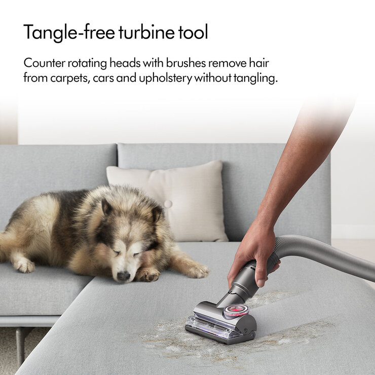 Dyson Ball™ Animal Upright Vacuum Cleaner