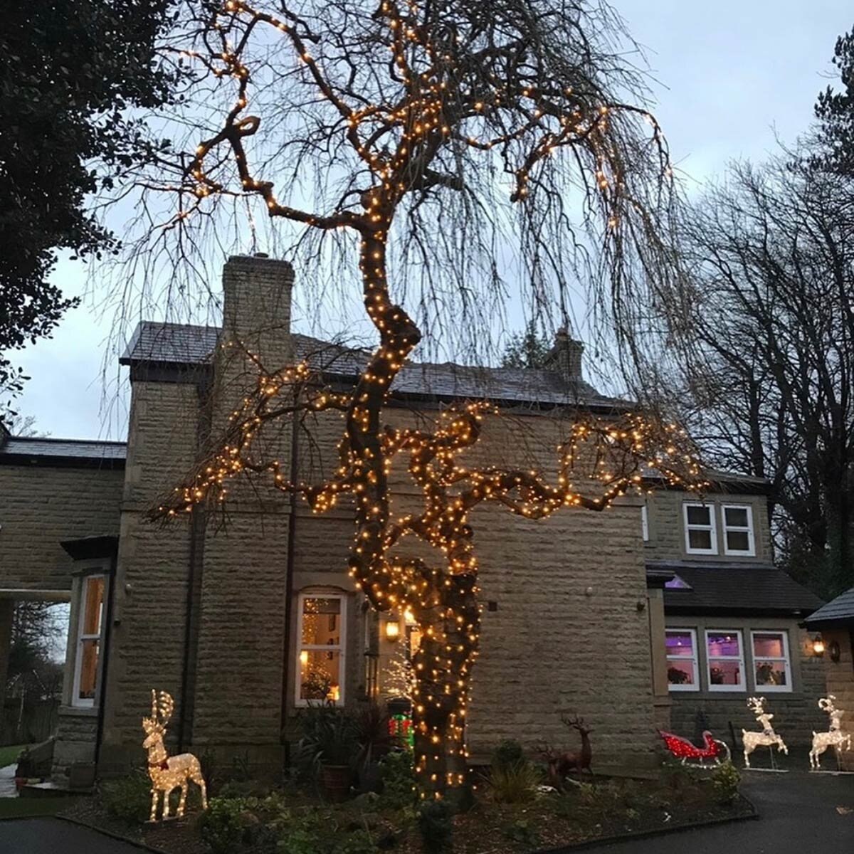 Lights4You 66ft (20m) 120 LED Warm White Outdoor String Lights