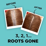 Root Application