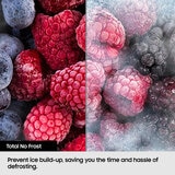 Samsung RR39C7BJ5SA/EU 377L Upright Fridge, E Rated in Silver